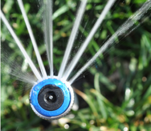 a close up of a pop up head in action