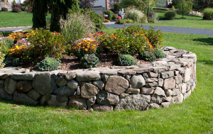 irivng sprinkler installation team isntalled a raised fall planting bed with ornamental foliage and hardy mums