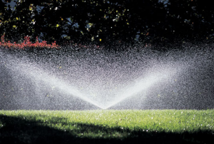 irrigation system running after a Irving TX sprinkler repair service